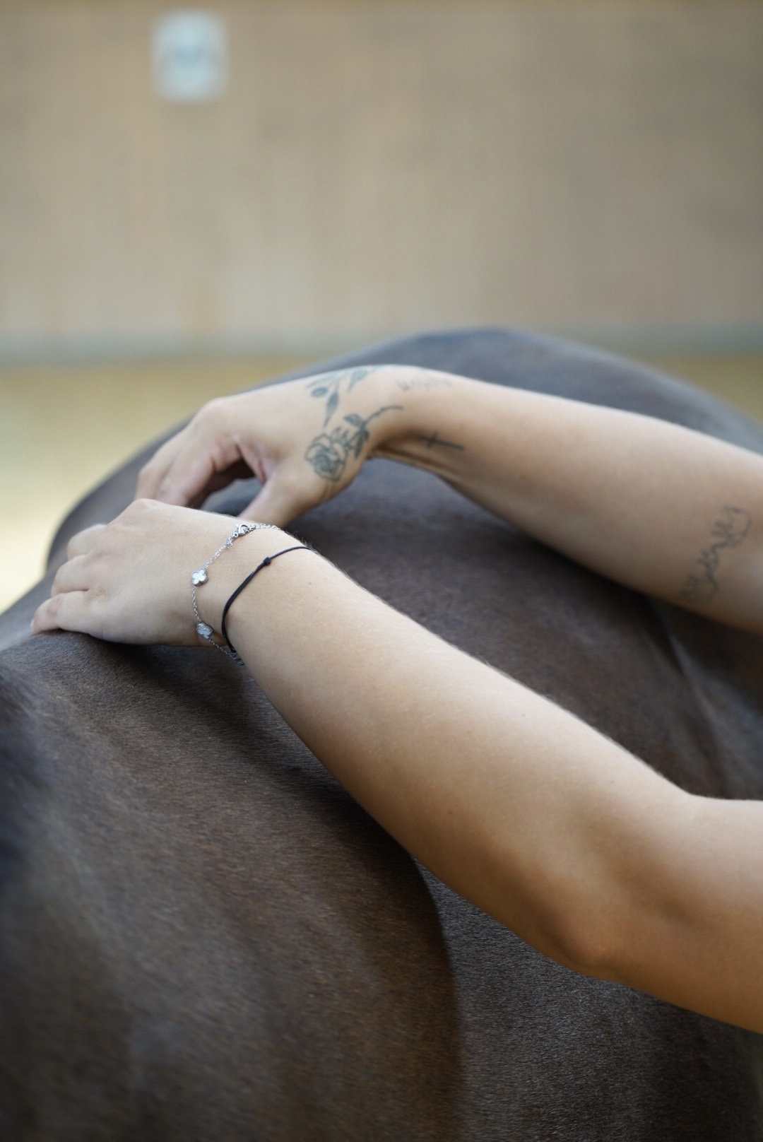 Pferdeosteopathie bei einem Pferd